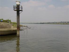 ʬ�����̿�