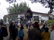 �����̗l�q����11